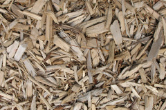biomass boilers Montacute